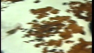 Italian Exhibitionist From the 90s Masked on Vhs 5