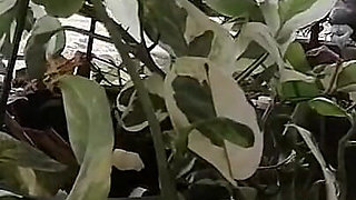 House Maid Seduced Real Footage