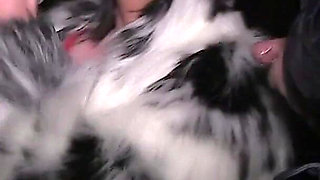All Natural Chubby Busty British MILF Heads Out on a Winter Night for a Dirty Dogging Mission