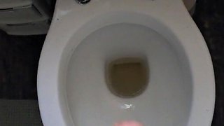 Pissing in the Toilet Compilation