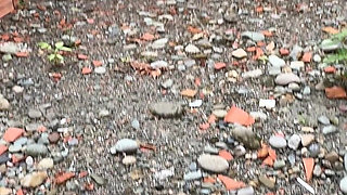 Masturbating in Public Excites Me.