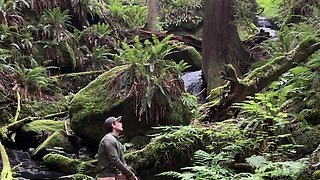Perv nerdy brunette wants my pee before fuck in woods