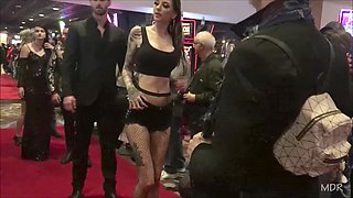 Avn awards superstar shines on the red carpet