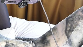 Nora Fox Wolf Zentai Encasement Machine
