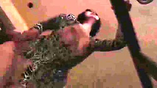 DMN407-KQRDXUAPXL101304526