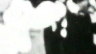 Perverted Cartoons (part 3)