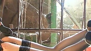 BDSM - Chained, Whipped, and Used Like a Real Fucktoy