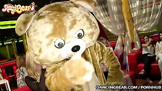Dancing Bear - bear dirt