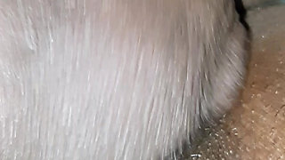 This monster knows how to fuck my pussy