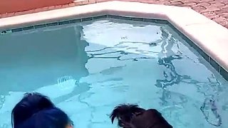 Fake agent fuck brunette amateur babe outdoor