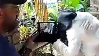 Cuckold Boss Wanted Me to Fuck His Slut Wife He Jerks off