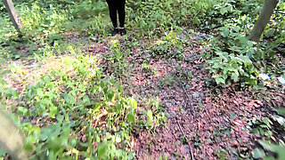 Red Breasts in the Forest