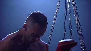 Cassie and the Boxer
