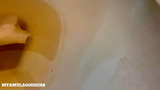 Toilet Pervert