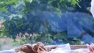 The Scenery Inside the Window Is so Wonderful