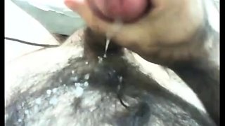 Hairy Bear Shows Off on Webcam
