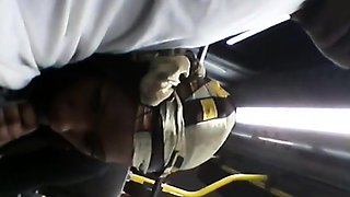 Brain's Blowjob on the Bus