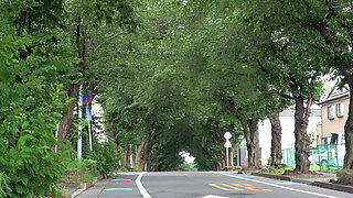 We're Sending Out Care Workers Wearing Just Panties, Asses Whipped