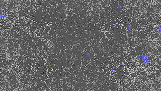 Colombian Single Mother Masturbating Until She Has a Great Orgasm