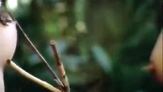 Even In The Desert Under The Hot Sun With Hot Women, Theres Fucking With Ava Vincent, Teanna Kai And Allysin Chaynes