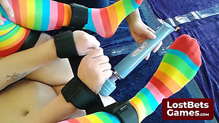 The Strip Pirate Penguins Stakes Are High