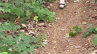 Walk in the Woods Who I Meet Today
