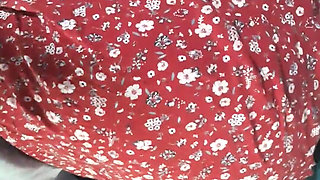 The Bride of My Best Friend in a Dress