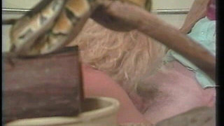 Debi Diamond Blowjob
