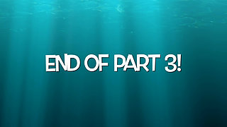 Part 2:- Lanista Bear gives Allegro a treat with a toy as requested by a fan.