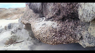 Taking Advantage of Aprico Nudist Beach to Show off My Body and Have a Great Time