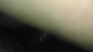 My Pussy Desi Mallu Aunty BDSM Stepmom Viral Mms Videos Village Tamil