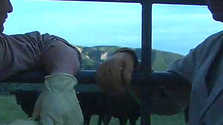 Insatiable Mature Blonde Indulges in Passionate Wild Encounters