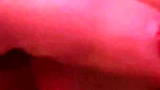 #31 Black Short Lace Dress, Pantyhose, Stockings and Heels