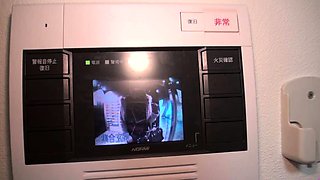 Japanese hairy cunt toyed with dildo