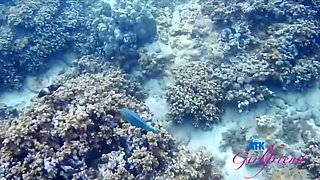 Opal Aften's Snorkeling and Sex: A Stunning Day with Her
