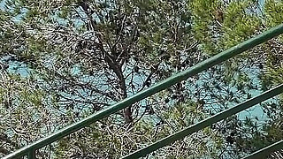 Vlog Lissa Brown Goes to a Nudist Beach to Film a Custom Video