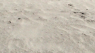 On the Beach Nude