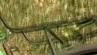 Nice teen girl fucking on the field