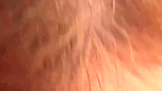 POV BJ Tease