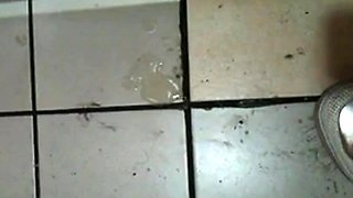 Korean Amateur Sucks Cock in Bathroom Gloryhole