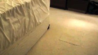 Rough Prone Bone with Big-Ass MILF Swingers