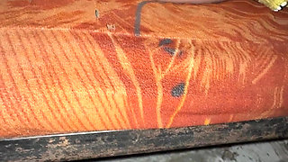 Real Wife Sex with Random Truck Driver on Highway