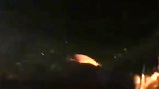 Elita Lofblad Svensk glamourmodell Gone Wild