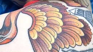 Stripping Amateur In Sexy Panties