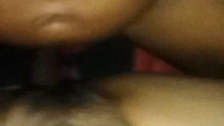 Bring on the Squirrels