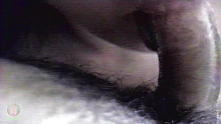 He Makes My Cum Oozes Out Like a Thick Sugar Sap