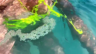 Artemisia Love flashing her juicy big tits underwater for you wearing a sexy bikini