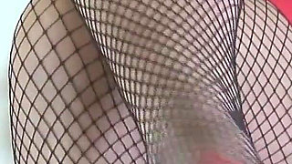 Misss a Catching You with Her Sexy Fishnets 2