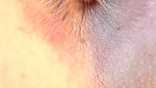 Asshole Winking Closeup