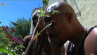 Big black cock sucking sex party cum in mouth